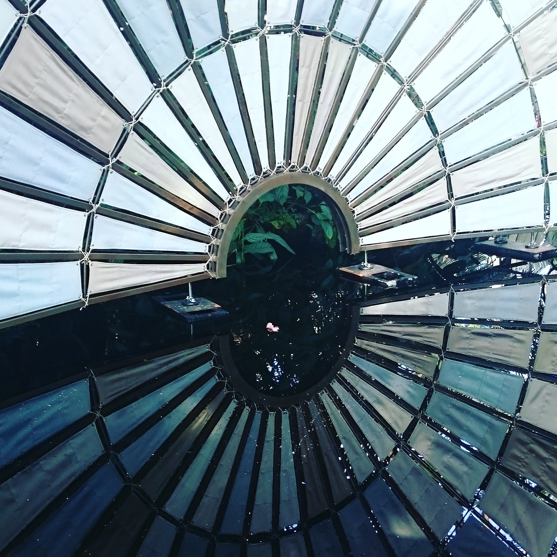 a blue fan reflected in the water